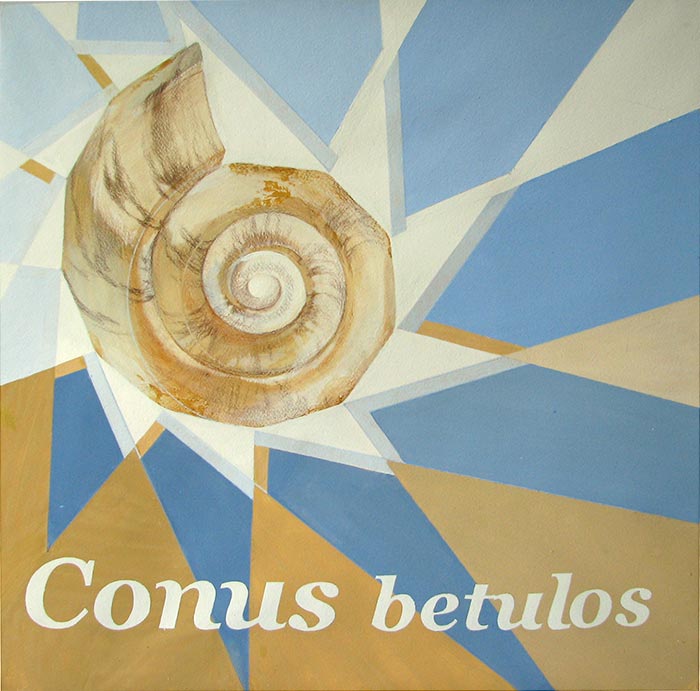 Conus betulus. Исследование структуры и пейзажные ассоциации