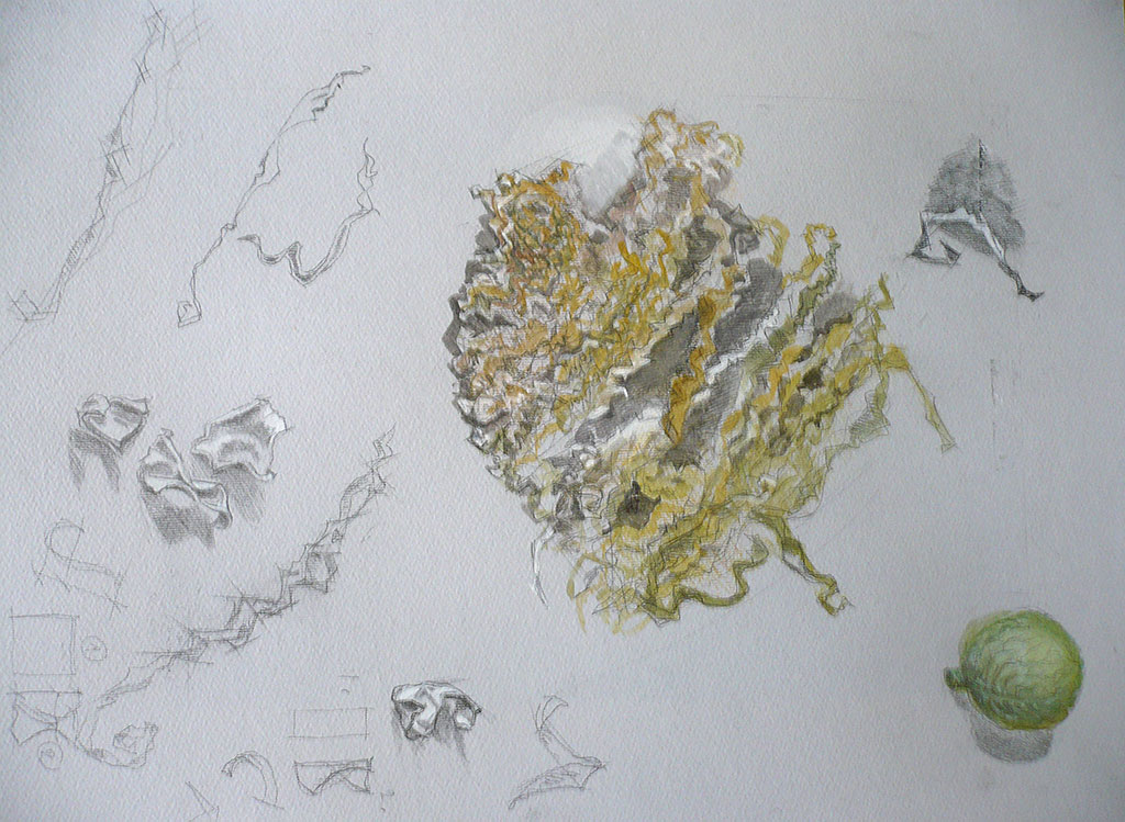 cabbage38