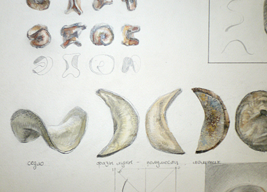 deformationresearch15