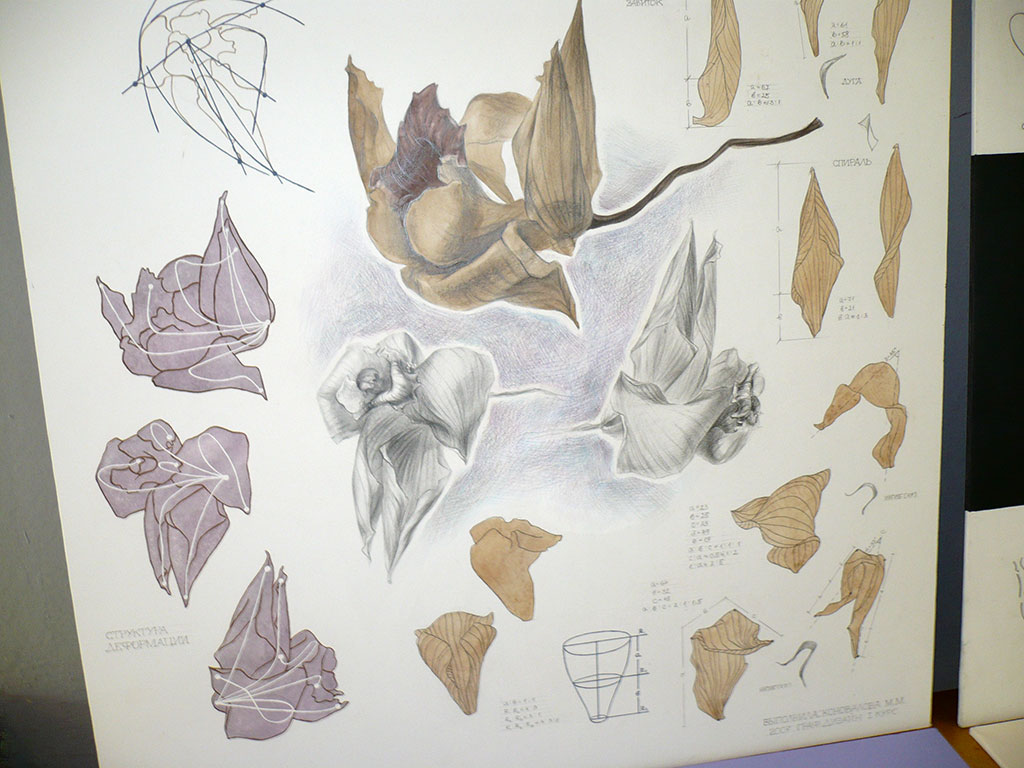 orchid06