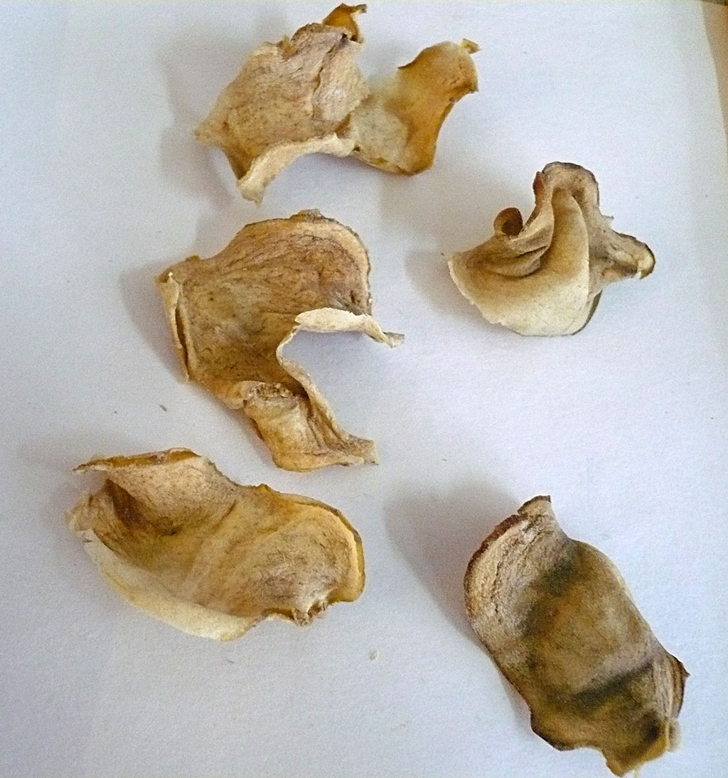 potatocutphoto21