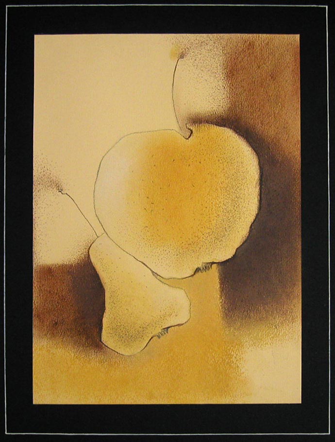 p1010055
